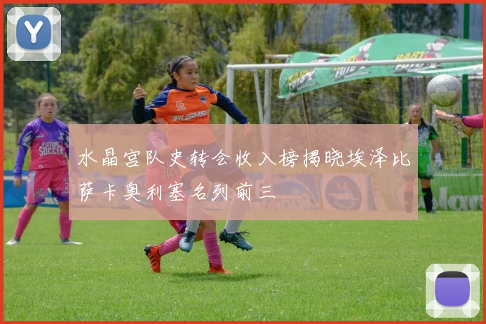 水晶宫队史转会收入榜揭晓埃泽比萨卡奥利塞名列前三